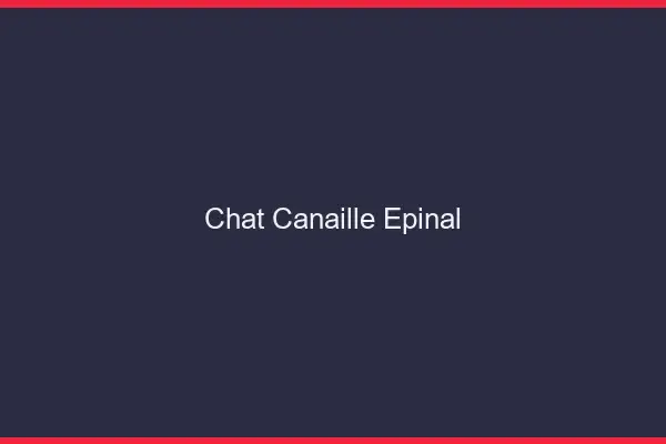 Chat Canaille Épinal