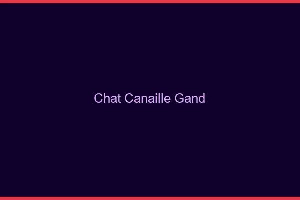 Chat Canaille Gand