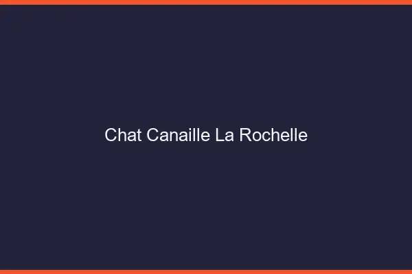 Chat Canaille La Rochelle