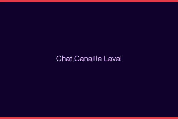 Chat Canaille Laval