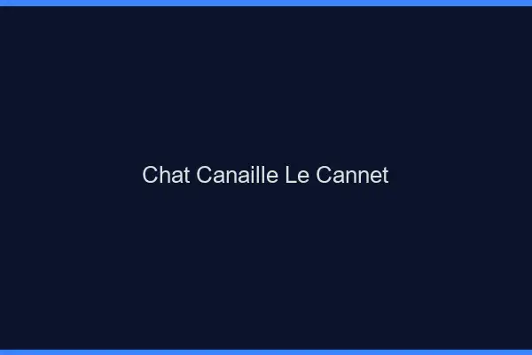Chat Canaille Le Cannet