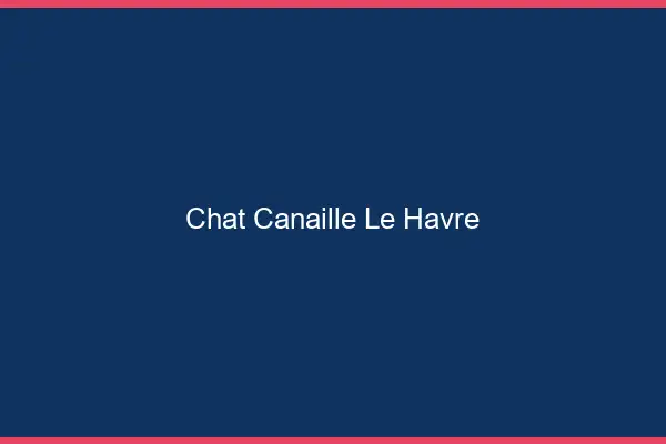 Chat Canaille Le Havre