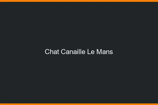 Chat Canaille Le Mans