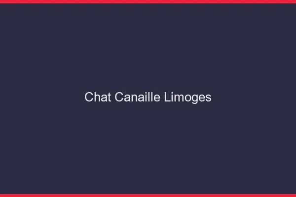 Chat Canaille Limoges