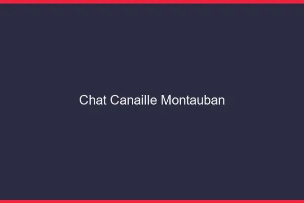 Chat Canaille Montauban