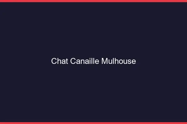 Chat Canaille Mulhouse