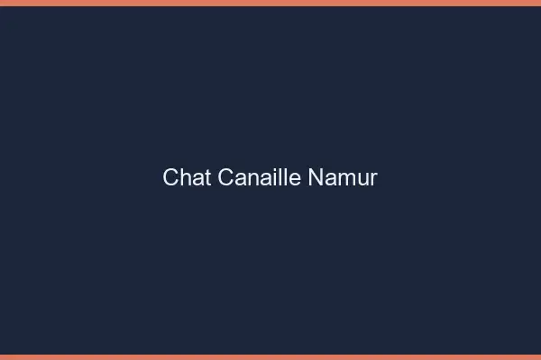 Chat Canaille Namur