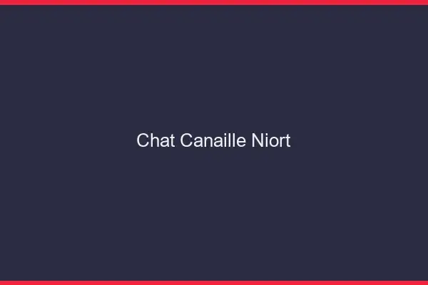 Chat Canaille Niort