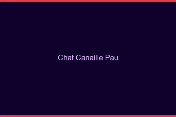 Chat Canaille Pau