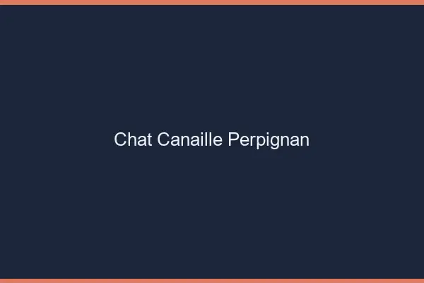Chat Canaille Perpignan