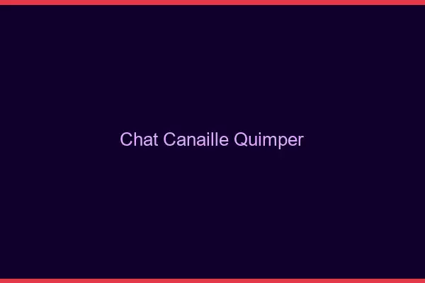 Chat Canaille Quimper
