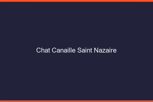 Chat Canaille Saint-Nazaire