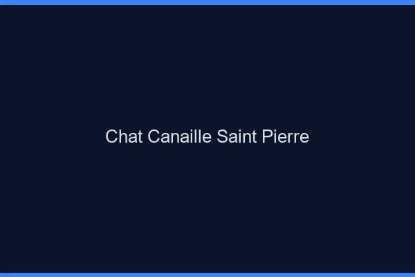 Chat Canaille Saint-Pierre