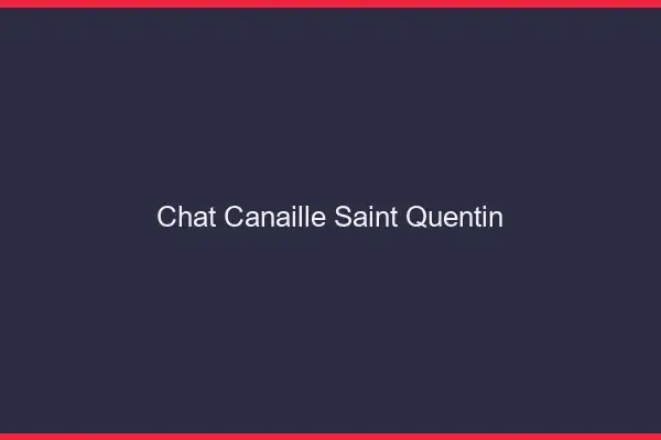 Chat Canaille Saint-Quentin