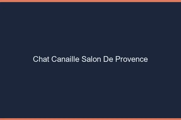 Chat Canaille Salon-de-Provence
