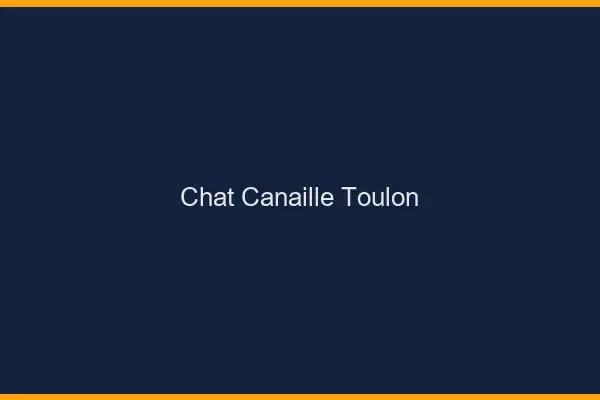 Chat Canaille Toulon