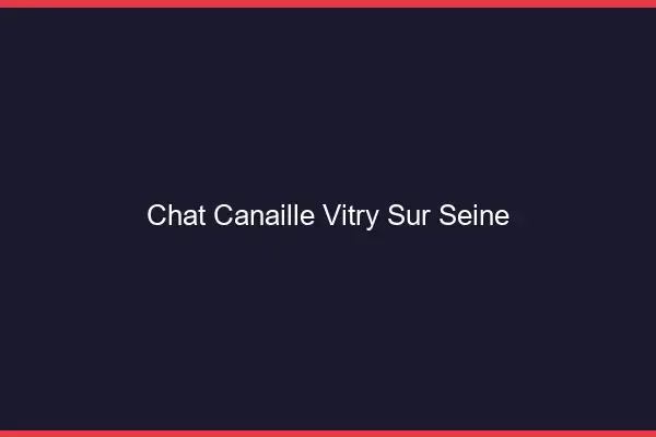 Chat Canaille Vitry-sur-Seine