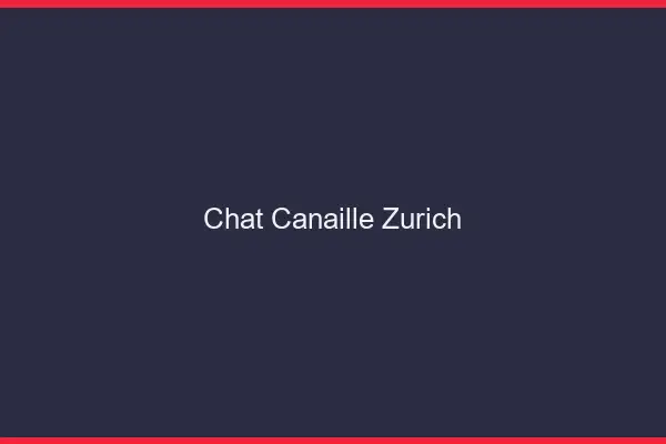 Chat Canaille Zurich