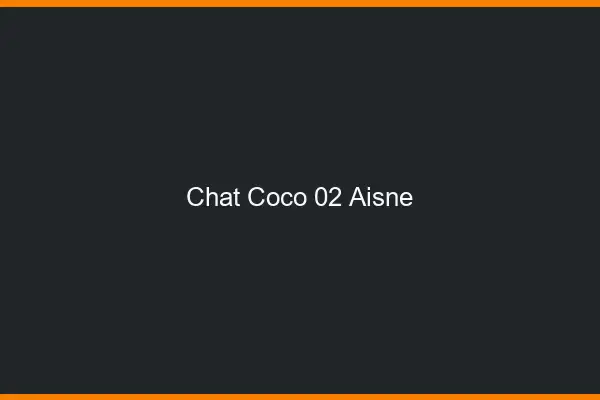 Chat Coco Aisne