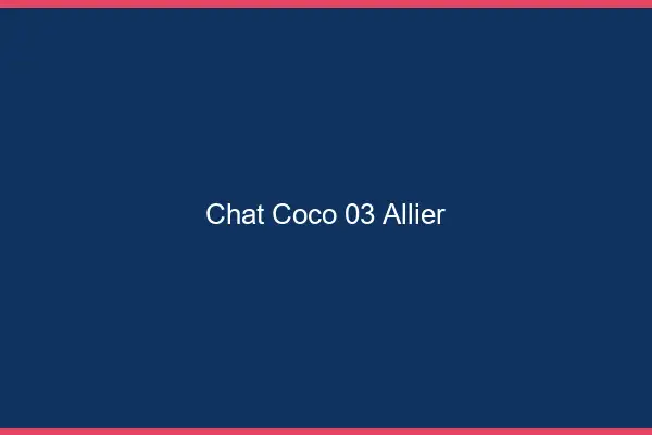 Chat Coco Allier