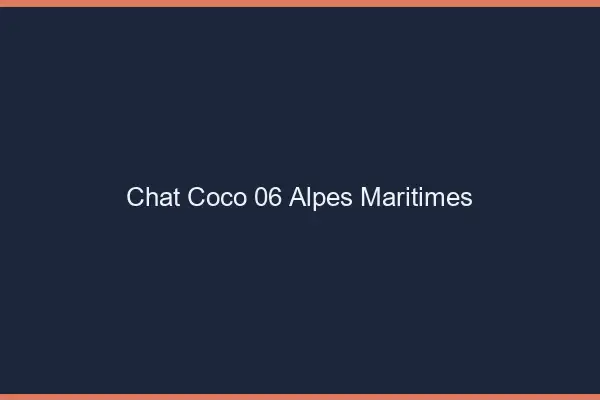 Chat Coco Alpes Maritimes