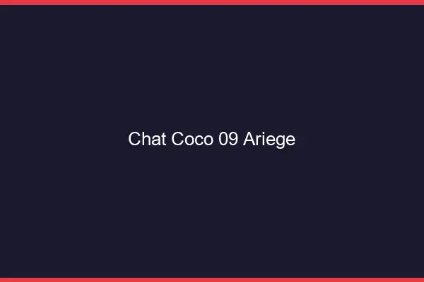 Chat Coco Ariege