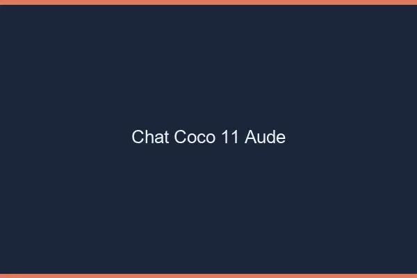 Chat Coco Aude