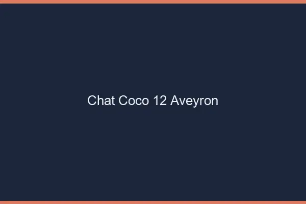 Chat Coco Aveyron