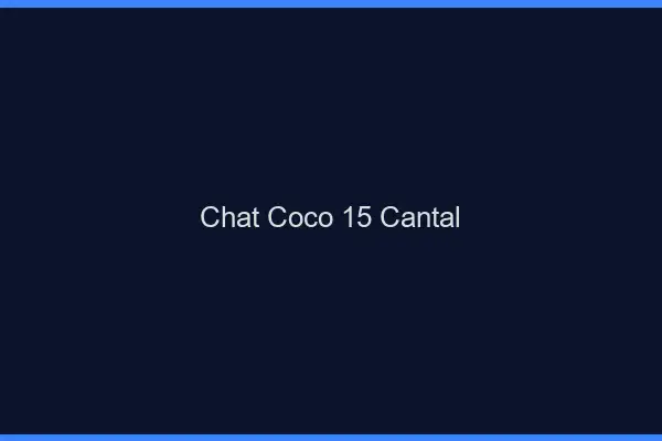 Chat Coco Cantal