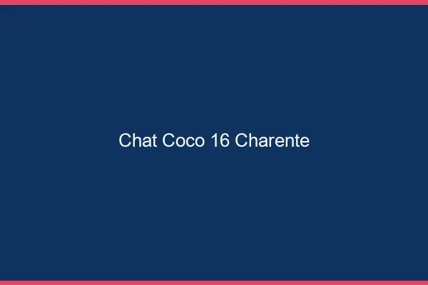 Chat Coco Charente