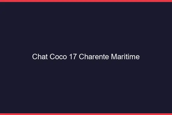 Chat Coco Charente Maritime