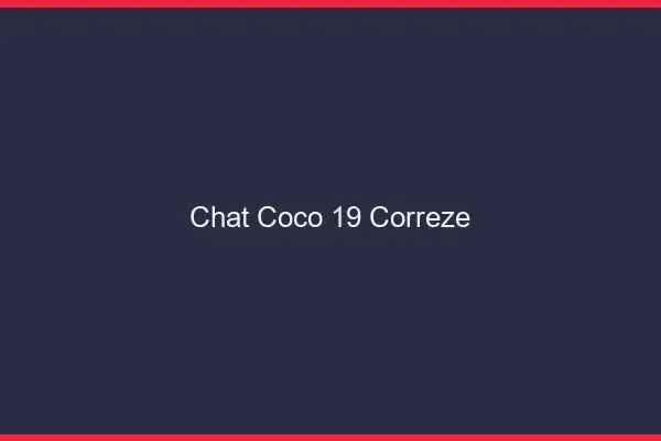 Chat Coco Correze