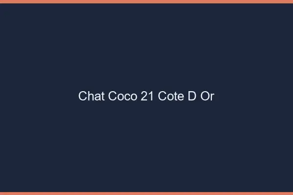 Chat Coco Cote D Or