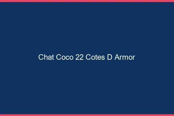 Chat Coco Cotes D Armor