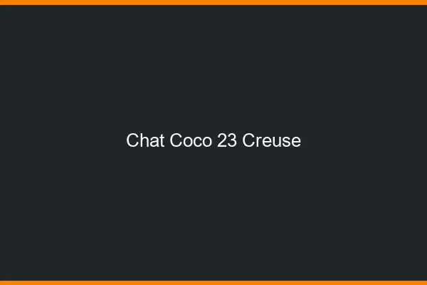 Chat Coco Creuse