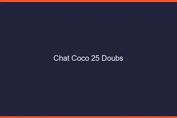Chat Coco Doubs
