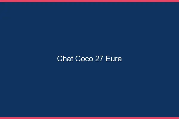 Chat Coco Eure