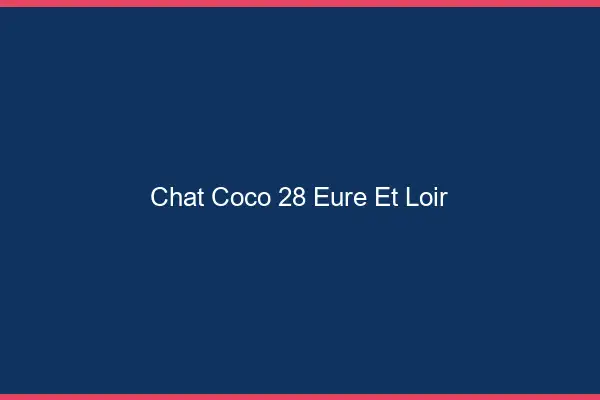 Chat Coco Eure Et Loir