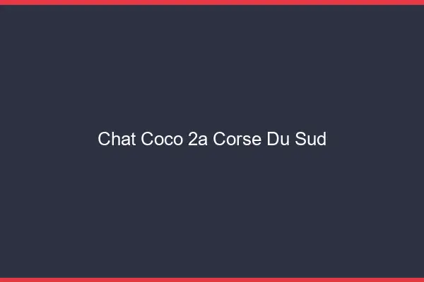 Chat Coco Corse Du Sud