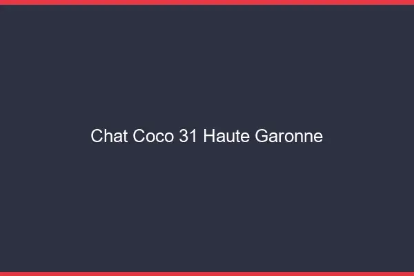 Chat Coco Haute Garonne