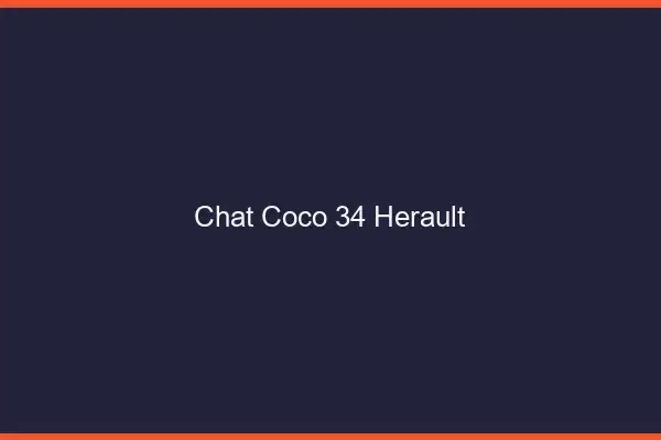 Chat Coco Herault