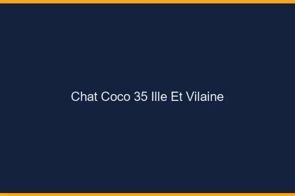 Chat Coco Ille Et Vilaine