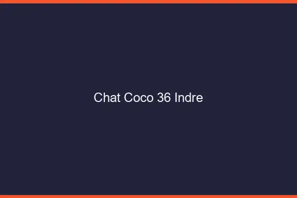 Chat Coco Indre