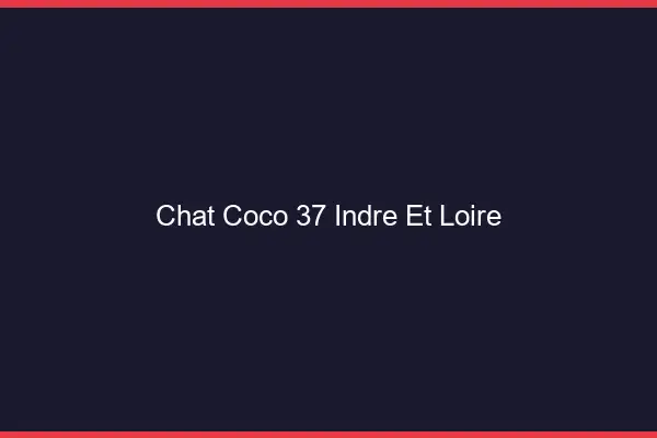 Chat Coco Indre Et Loire