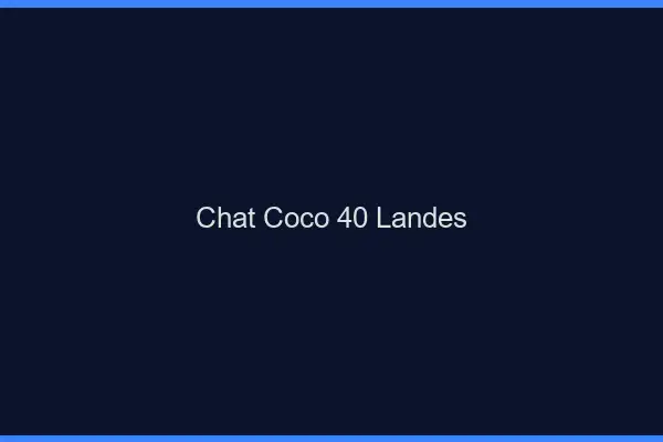 Chat Coco Landes