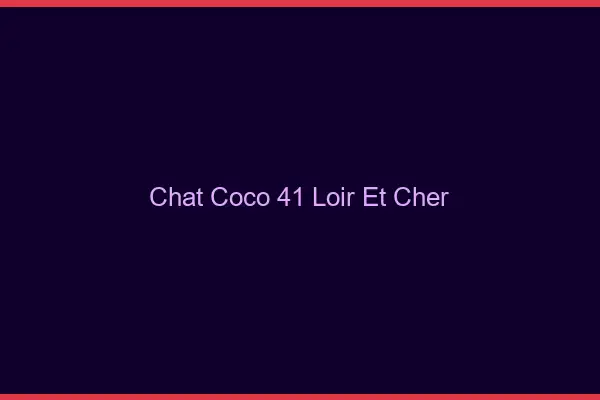 Chat Coco Loir Et Cher