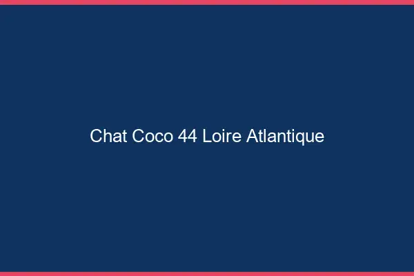 Chat Coco Loire Atlantique