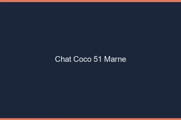 Chat Coco Marne