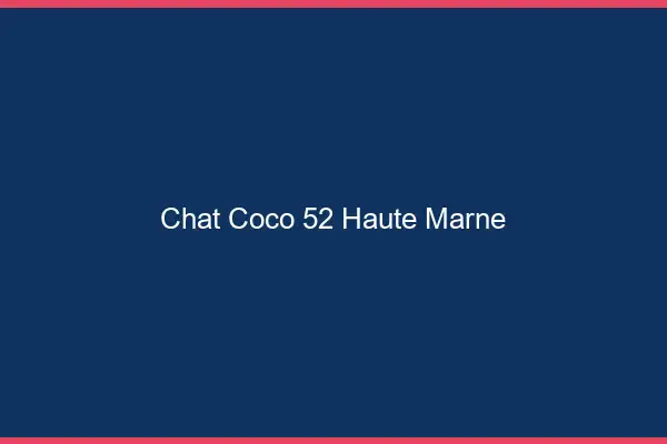 Chat Coco Haute Marne