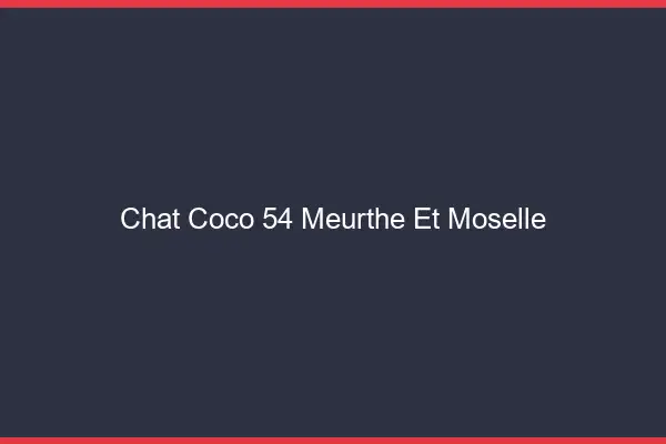Chat Coco Meurthe Et Moselle